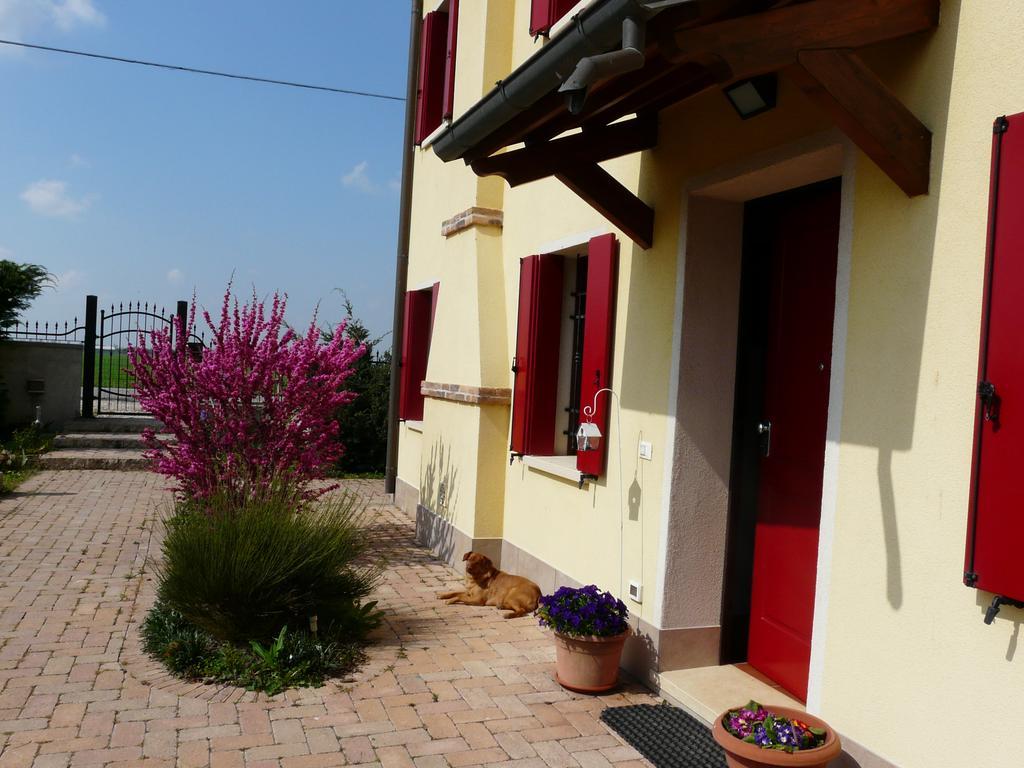 B&B La Garzetta Adria Extérieur photo